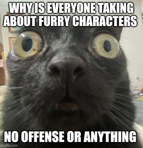 Jinx Staring | WHY IS EVERYONE TAKING ABOUT FURRY CHARACTERS; NO OFFENSE OR ANYTHING | image tagged in jinx staring | made w/ Imgflip meme maker