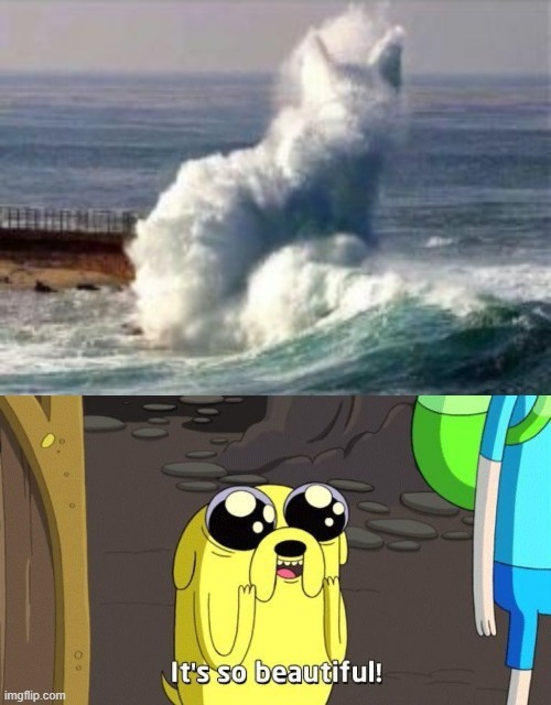 that wave looks like a cat | image tagged in adventure time | made w/ Imgflip meme maker