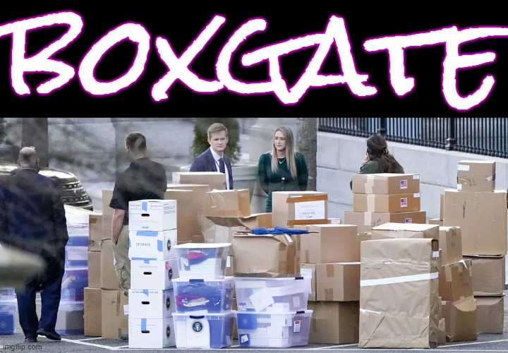 BOXGATE! the best gate around! BETTER than watergate, BETTER than golden gate, although gold is very nice.... | boxgate | image tagged in box,gate,donald trump you're fired,donald trump is an idiot,espionage,lock him up | made w/ Imgflip meme maker