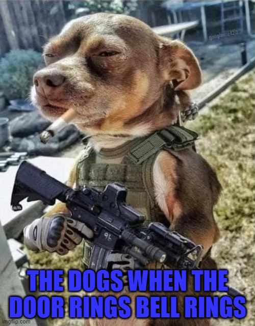 THE DOGS WHEN THE DOOR RINGS BELL RINGS | image tagged in dogs | made w/ Imgflip meme maker