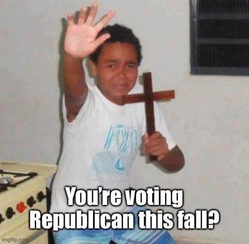 You’re voting Republican this fall? | You’re voting Republican this fall? | image tagged in voting,republican,scumbag republicans | made w/ Imgflip meme maker