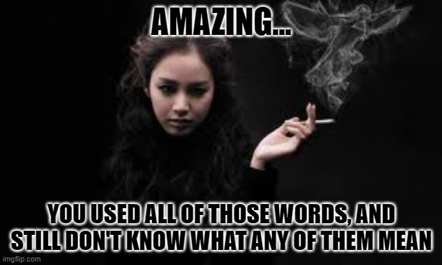 Smoking Woman | AMAZING... YOU USED ALL OF THOSE WORDS, AND STILL DON'T KNOW WHAT ANY OF THEM MEAN | image tagged in smoking woman,amazing,uneducated,funny memes | made w/ Imgflip meme maker