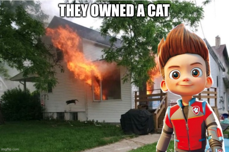 A GOOD WHAT THE FU- | THEY OWNED A CAT | image tagged in disaster ryder | made w/ Imgflip meme maker