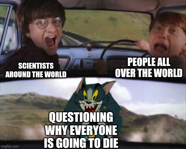 Hmmm | PEOPLE ALL OVER THE WORLD; SCIENTISTS AROUND THE WORLD; QUESTIONING WHY EVERYONE IS GOING TO DIE | image tagged in tom chasing harry and ron weasly,so true memes,hmmm | made w/ Imgflip meme maker