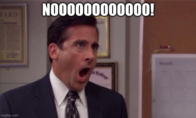 noooooo | NOOOOOOOOOOOO! | image tagged in noooooo | made w/ Imgflip meme maker