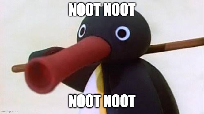 NOOOOOT | NOOT NOOT; NOOT NOOT | image tagged in pingu noot,noot noot | made w/ Imgflip meme maker