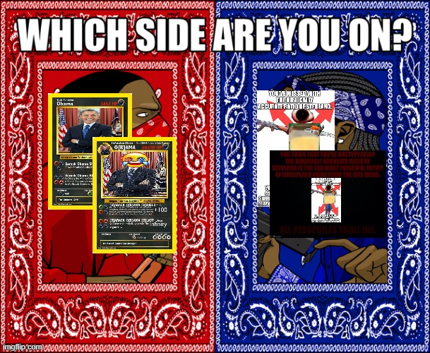 Choose your card Duo. | image tagged in which side are you on | made w/ Imgflip meme maker