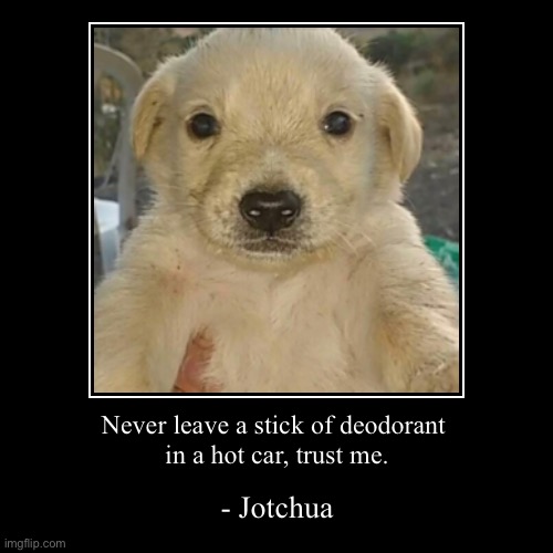 jotchua | image tagged in funny,demotivationals,jotchua | made w/ Imgflip demotivational maker
