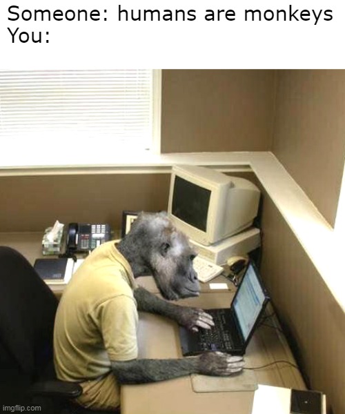 I mean hes right after all |  Someone: humans are monkeys
You: | image tagged in memes,monkey business | made w/ Imgflip meme maker