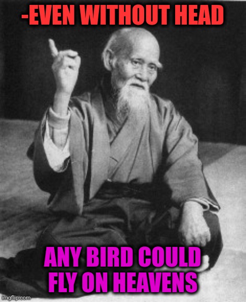 -Trying reach the sky. | -EVEN WITHOUT HEAD; ANY BIRD COULD FLY ON HEAVENS | image tagged in aikido master,screaming bird,paradise,flight attendant,y u no,head | made w/ Imgflip meme maker