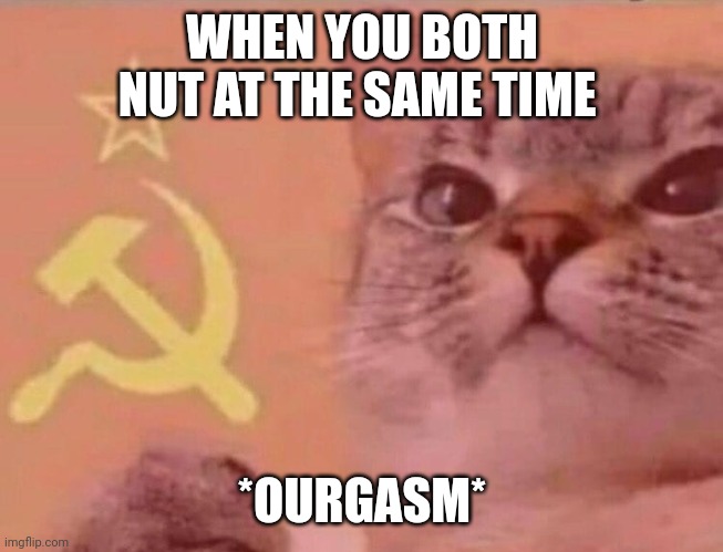 Communist cat | WHEN YOU BOTH NUT AT THE SAME TIME; *OURGASM* | image tagged in communist cat | made w/ Imgflip meme maker
