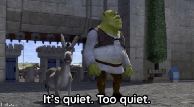 Anyone there | image tagged in it s quiet too quiet shrek | made w/ Imgflip meme maker