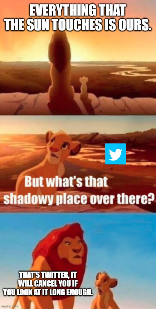Simba Shadowy Place Meme | EVERYTHING THAT THE SUN TOUCHES IS OURS. THAT'S TWITTER, IT WILL CANCEL YOU IF YOU LOOK AT IT LONG ENOUGH. | image tagged in memes,simba shadowy place | made w/ Imgflip meme maker