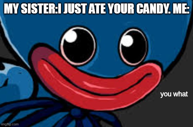 you what | MY SISTER:I JUST ATE YOUR CANDY. ME: | image tagged in you what huggy wuggy edition | made w/ Imgflip meme maker