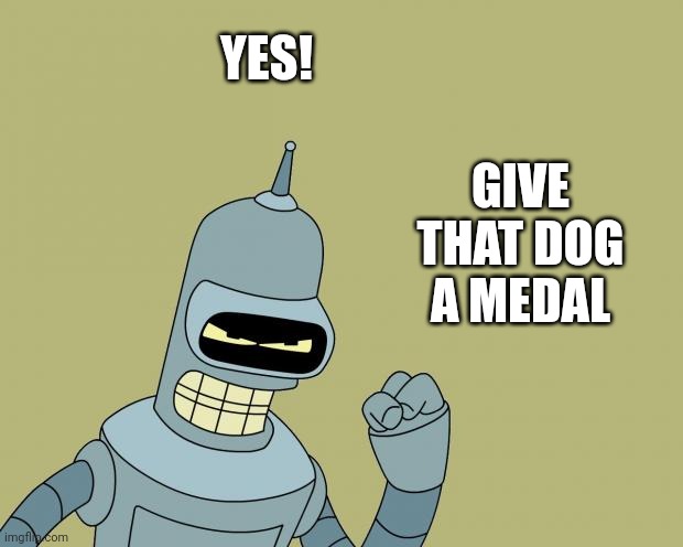 bender | YES! GIVE THAT DOG A MEDAL | image tagged in bender | made w/ Imgflip meme maker