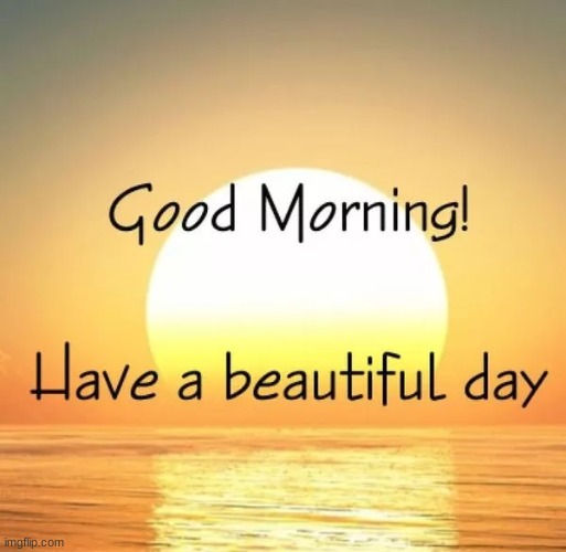 Good Morning Everyone Imgflip