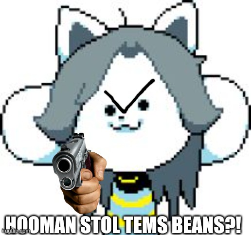 Never steal temmies beans. | HOOMAN STOL TEMS BEANS?! | image tagged in temmie | made w/ Imgflip meme maker