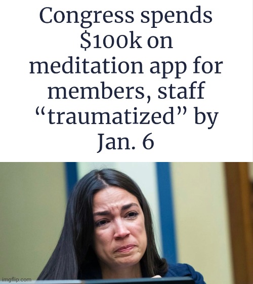 For the many snowflakes in Congress. | image tagged in aoc | made w/ Imgflip meme maker