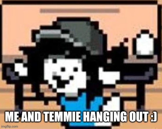 Yay | ME AND TEMMIE HANGING OUT :) | image tagged in temmie | made w/ Imgflip meme maker