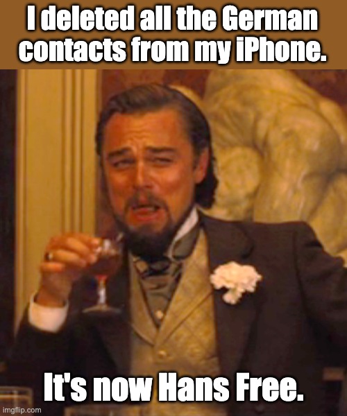 iPhone | I deleted all the German contacts from my iPhone. It's now Hans Free. | image tagged in memes,laughing leo | made w/ Imgflip meme maker