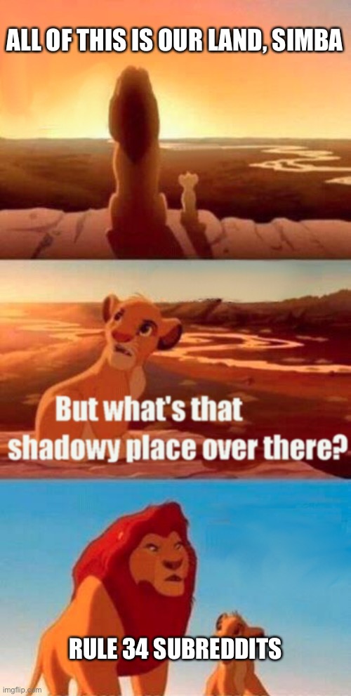 omfg | ALL OF THIS IS OUR LAND, SIMBA; RULE 34 SUBREDDITS | image tagged in memes,simba shadowy place | made w/ Imgflip meme maker