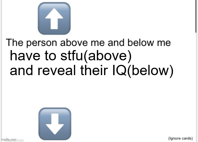 Person above below | have to stfu(above) and reveal their IQ(below) | image tagged in person above below | made w/ Imgflip meme maker