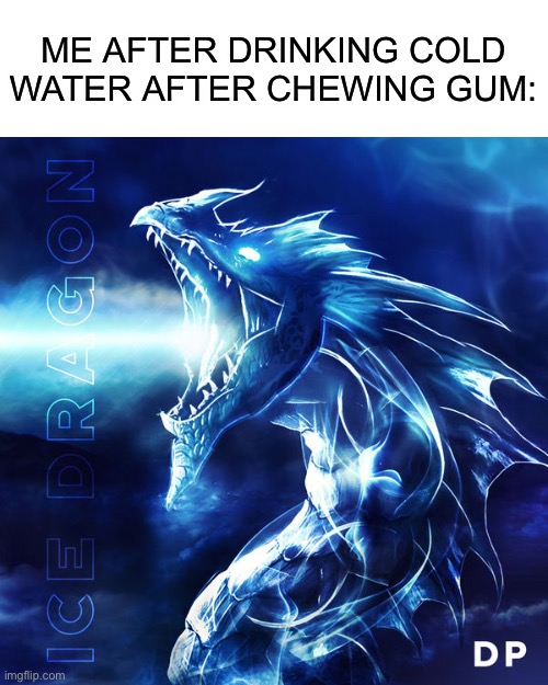 ice dragon | ME AFTER DRINKING COLD WATER AFTER CHEWING GUM: | image tagged in memes | made w/ Imgflip meme maker