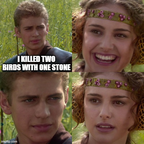 was a large stone | I KILLED TWO BIRDS WITH ONE STONE | image tagged in anakin padme 4 panel | made w/ Imgflip meme maker