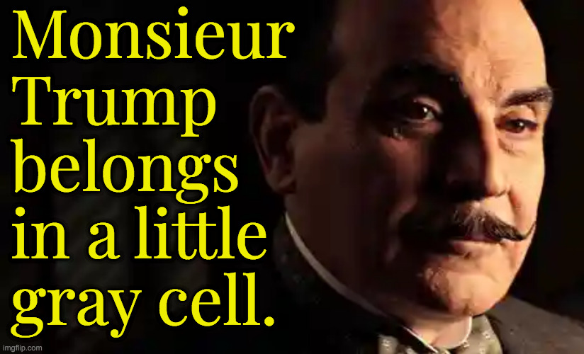 When all of the actions are connected by death. | Monsieur
Trump
belongs
in a little
gray cell. | image tagged in memes,poirot,trump,little gray cell | made w/ Imgflip meme maker