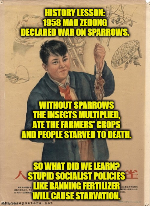 Keep you eye on the sparrow |  HISTORY LESSON:
1958 MAO ZEDONG
DECLARED WAR ON SPARROWS. WITHOUT SPARROWS
THE INSECTS MULTIPLIED,
ATE THE FARMERS' CROPS
AND PEOPLE STARVED TO DEATH. SO WHAT DID WE LEARN?
STUPID SOCIALIST POLICIES
LIKE BANNING FERTILIZER
WILL CAUSE STARVATION. | image tagged in socialism | made w/ Imgflip meme maker