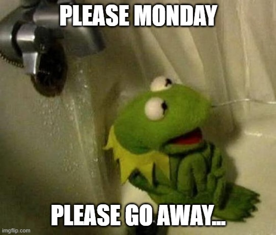Make the Monday go away! |  PLEASE MONDAY; PLEASE GO AWAY... | image tagged in kermit on shower,monday,mondays,lolihatemylife,i hate mondays | made w/ Imgflip meme maker
