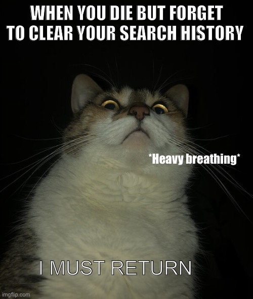 WHEN YOU DIE BUT FORGET TO CLEAR YOUR SEARCH HISTORY; *Heavy breathing*; I MUST RETURN | made w/ Imgflip meme maker