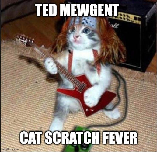 Rockstar Cat | TED MEWGENT; CAT SCRATCH FEVER | image tagged in rockstar cat | made w/ Imgflip meme maker