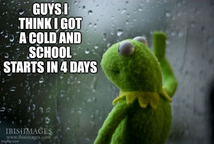 * zad * | GUYS I THINK I GOT A COLD AND SCHOOL STARTS IN 4 DAYS | image tagged in kermit window | made w/ Imgflip meme maker
