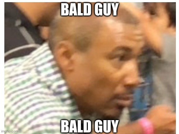 BALD GUY. | BALD GUY; BALD GUY | image tagged in memes,bald,bald guy,funny,fun,not really a gif | made w/ Imgflip meme maker