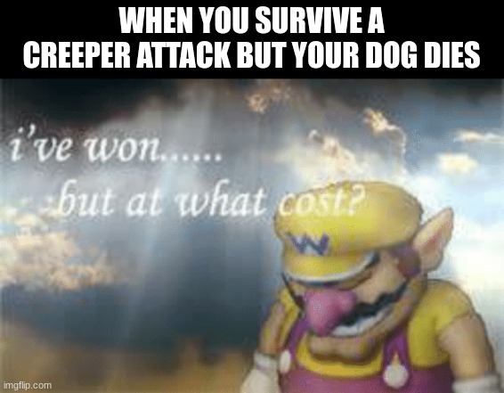 I've won but at what cost? | WHEN YOU SURVIVE A CREEPER ATTACK BUT YOUR DOG DIES | image tagged in i've won but at what cost | made w/ Imgflip meme maker