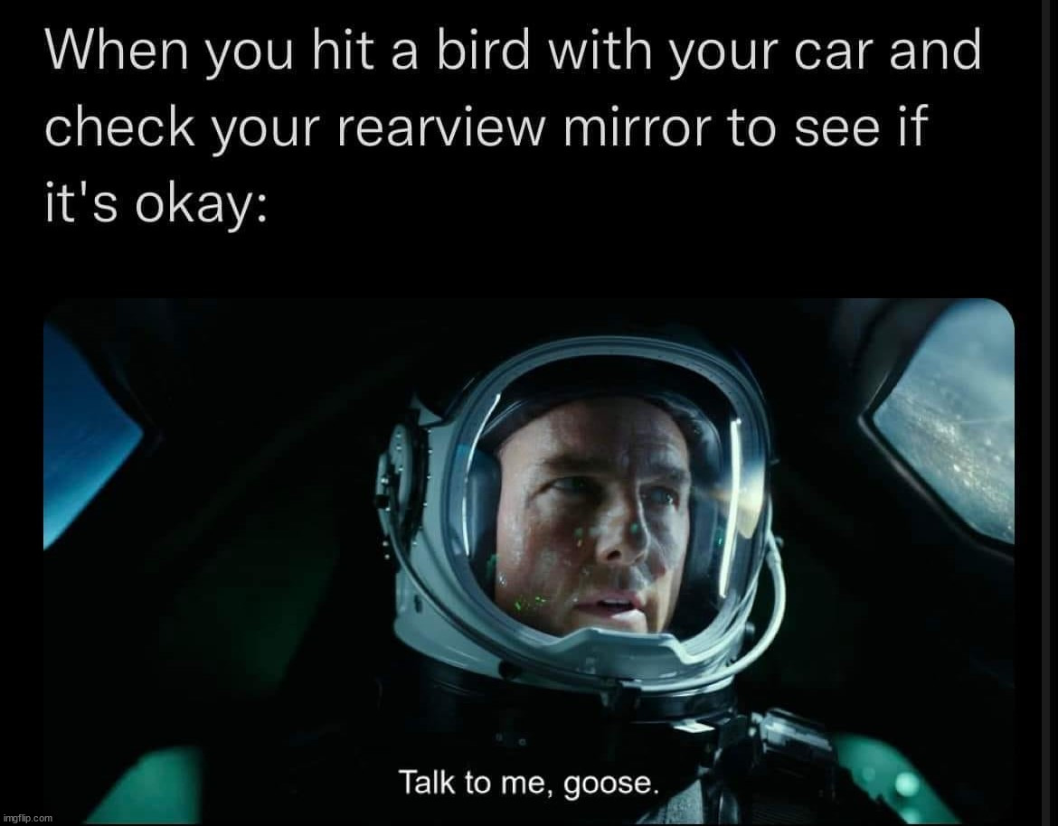 image tagged in repost | made w/ Imgflip meme maker