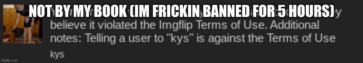 NOT BY MY BOOK (IM FRICKIN BANNED FOR 5 HOURS) | made w/ Imgflip meme maker