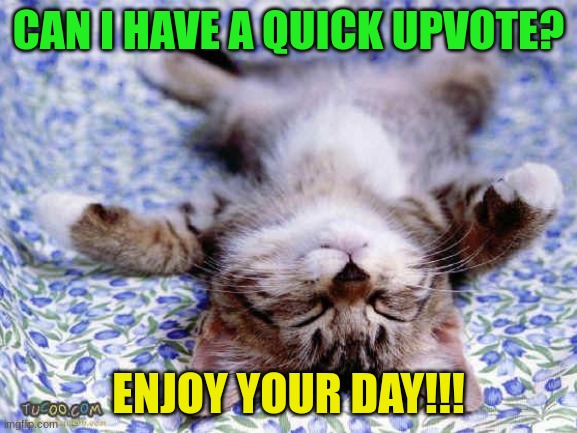 Hello everyoe | CAN I HAVE A QUICK UPVOTE? ENJOY YOUR DAY!!! | image tagged in upsidedwon sleeping cat | made w/ Imgflip meme maker