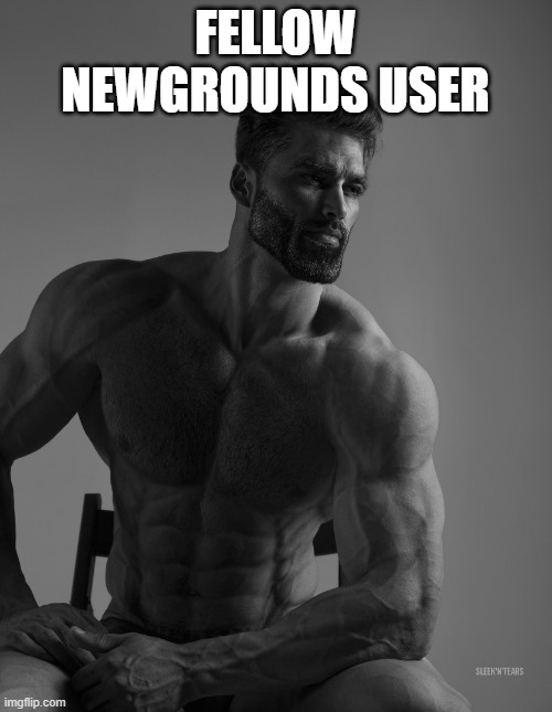 Giga Chad | FELLOW NEWGROUNDS USER | image tagged in giga chad | made w/ Imgflip meme maker