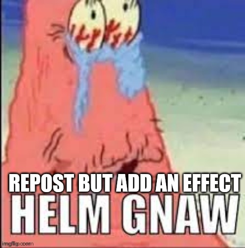 helm gnaw | REPOST BUT ADD AN EFFECT | image tagged in helm gnaw | made w/ Imgflip meme maker
