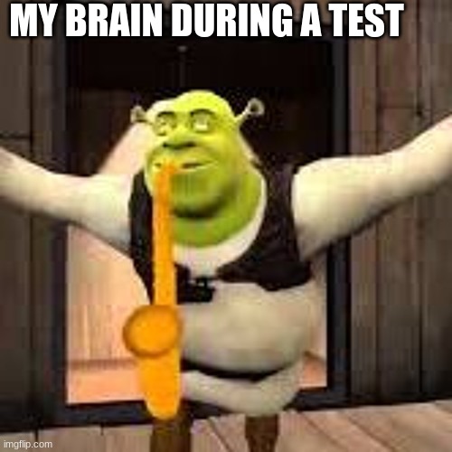 brians | MY BRAIN DURING A TEST | image tagged in test | made w/ Imgflip meme maker