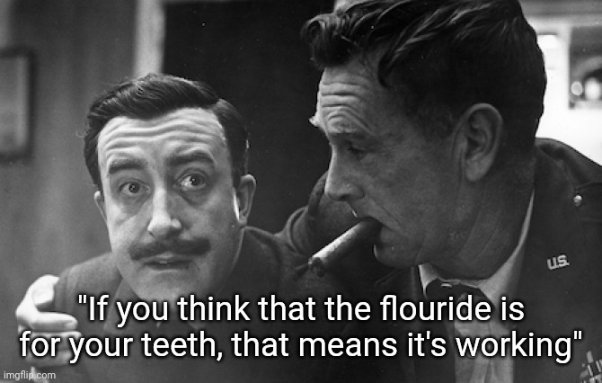 Mind control is real | "If you think that the flouride is for your teeth, that means it's working" | image tagged in flouridation-drstrangelove | made w/ Imgflip meme maker