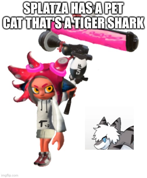 In game splatza | SPLATZA HAS A PET CAT THAT'S A TIGER SHARK | image tagged in in game splatza | made w/ Imgflip meme maker
