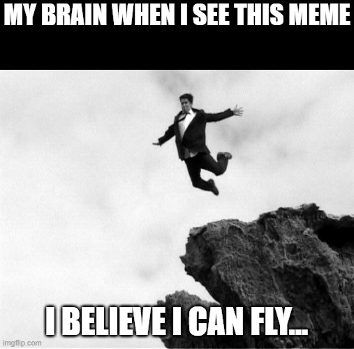 Read the lower text: Relatable | MY BRAIN WHEN I SEE THIS MEME; I BELIEVE I CAN FLY... | image tagged in man jumping off a cliff | made w/ Imgflip meme maker