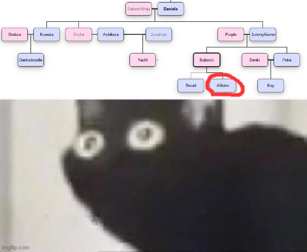 we had a hot passionate homosexual gay erp sexual interaction | image tagged in oh no black cat | made w/ Imgflip meme maker