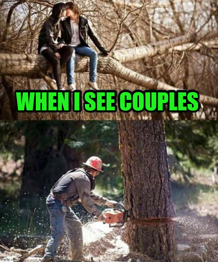 WHEN I SEE COUPLES | image tagged in couples | made w/ Imgflip meme maker