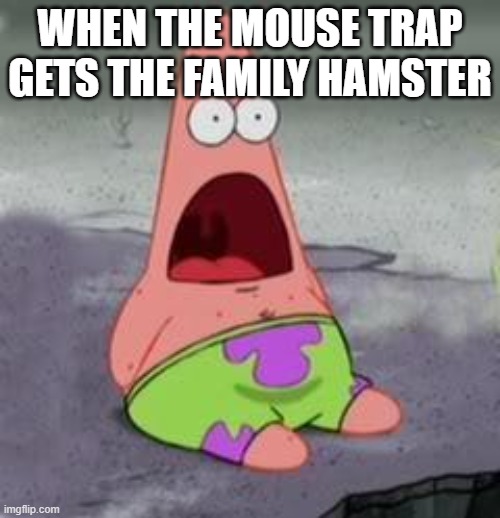 big oof moment | WHEN THE MOUSE TRAP GETS THE FAMILY HAMSTER | image tagged in suprised patrick | made w/ Imgflip meme maker
