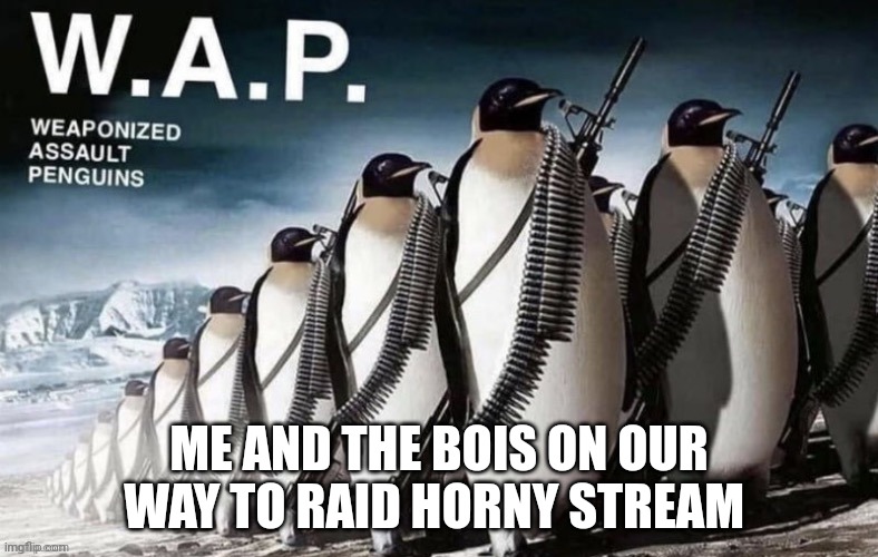 wap | ME AND THE BOIS ON OUR WAY TO RAID HORNY STREAM | image tagged in wap | made w/ Imgflip meme maker