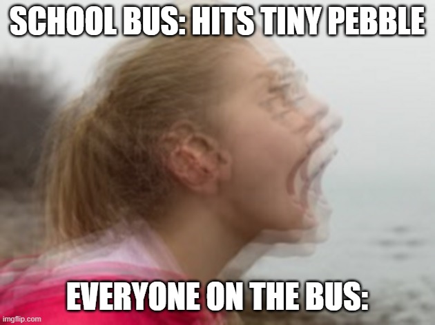 It's like an earthquake | SCHOOL BUS: HITS TINY PEBBLE; EVERYONE ON THE BUS: | image tagged in vibrations | made w/ Imgflip meme maker